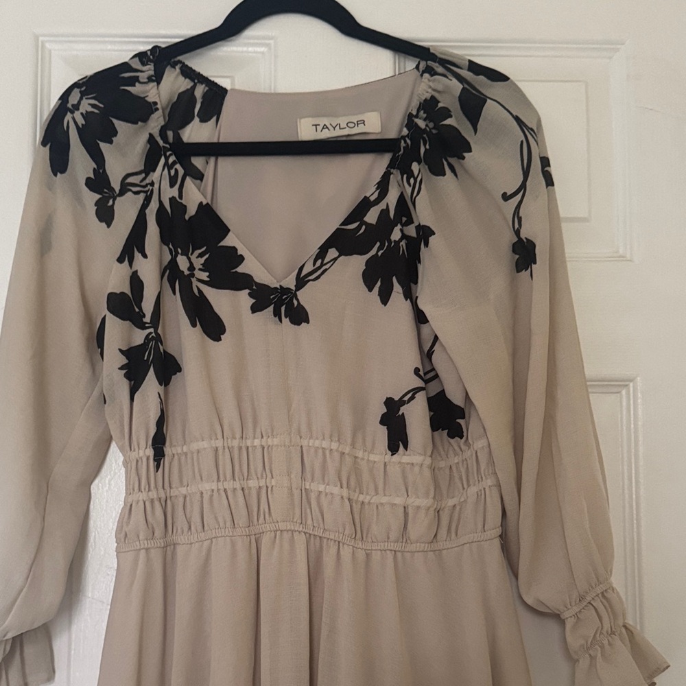 Taylor Women's Elegant Black Floral on Cream Dress